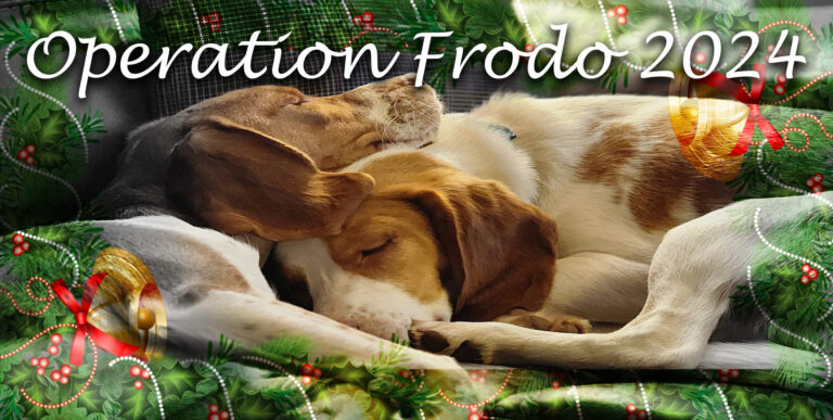 Operation Frodo 2024: Saving Dogs from the Heartland to the Pacific Northwest